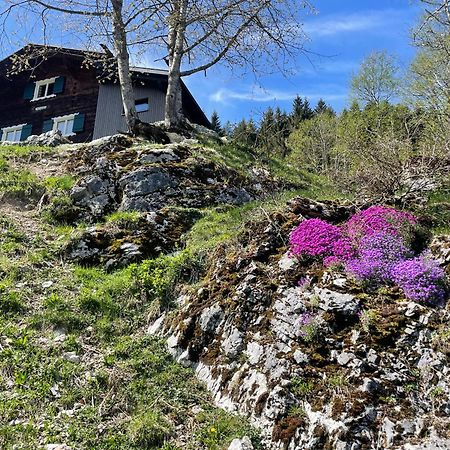 Alpenchalet Piz Huesli Tschagguns Luaran gambar