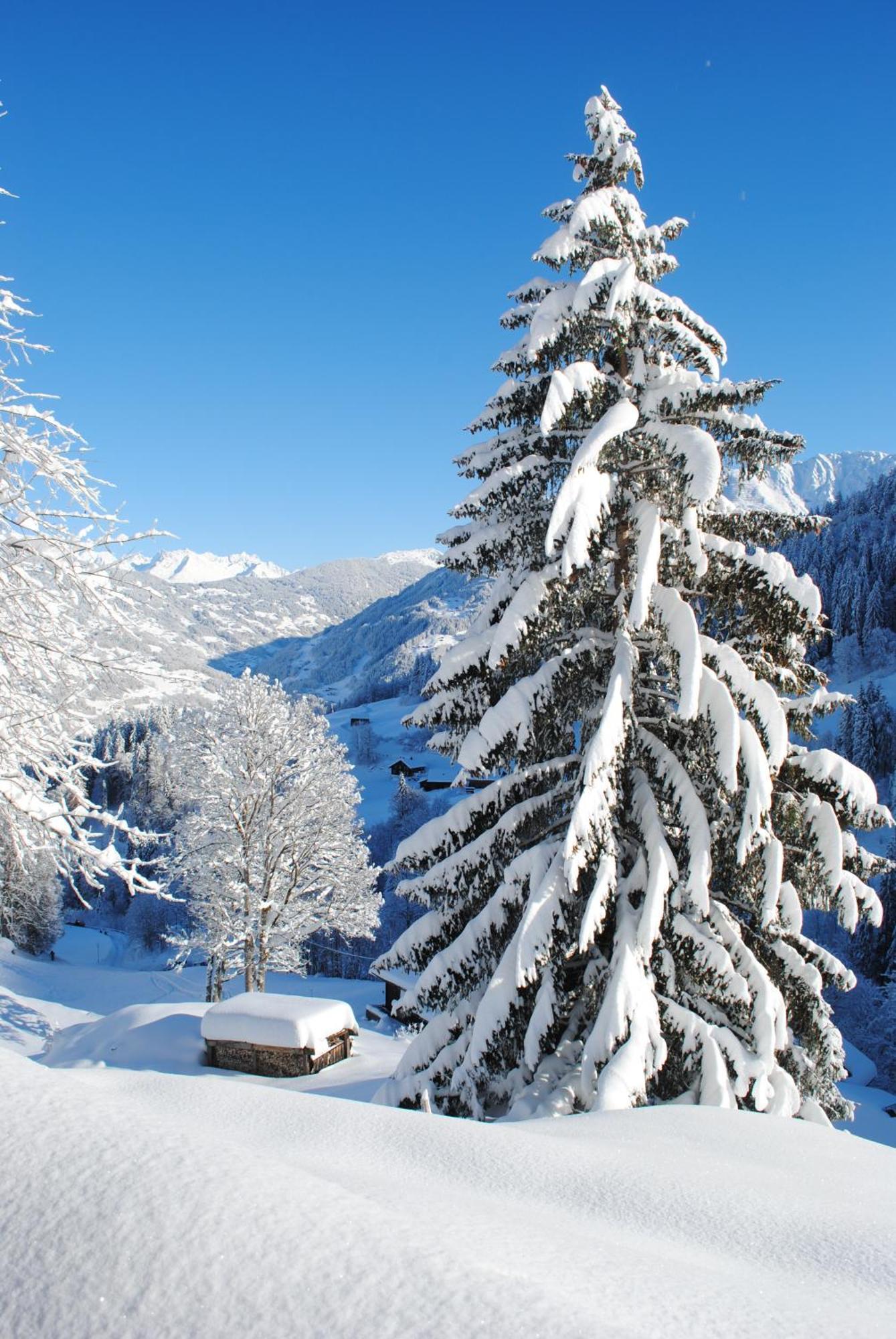 Alpenchalet Piz Huesli Tschagguns Luaran gambar