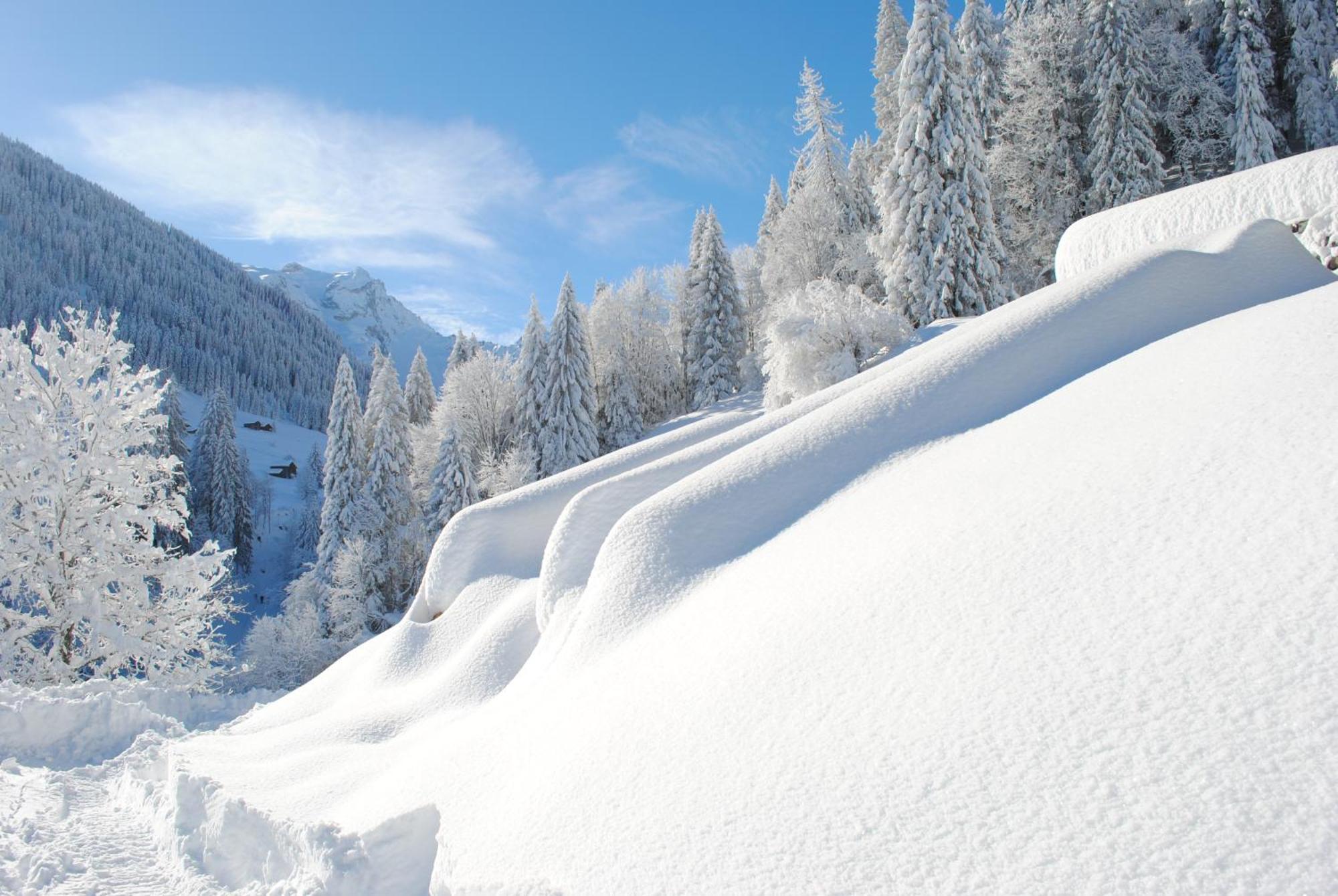 Alpenchalet Piz Huesli Tschagguns Luaran gambar
