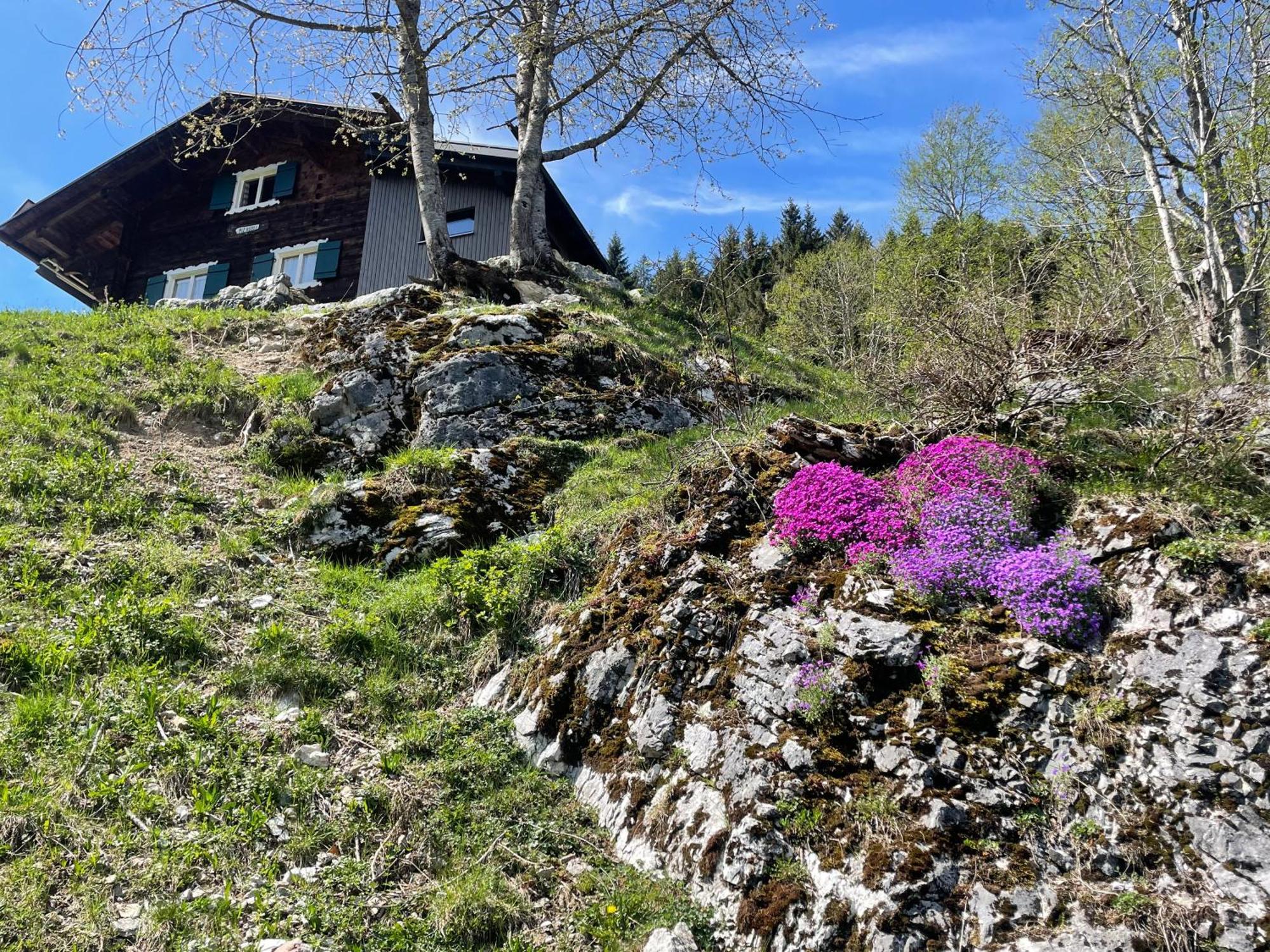 Alpenchalet Piz Huesli Tschagguns Luaran gambar